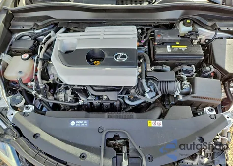 2019 Lexus Ux 200 z USA, uszkodzony, nr VIN JTHY3JBHXK2019342